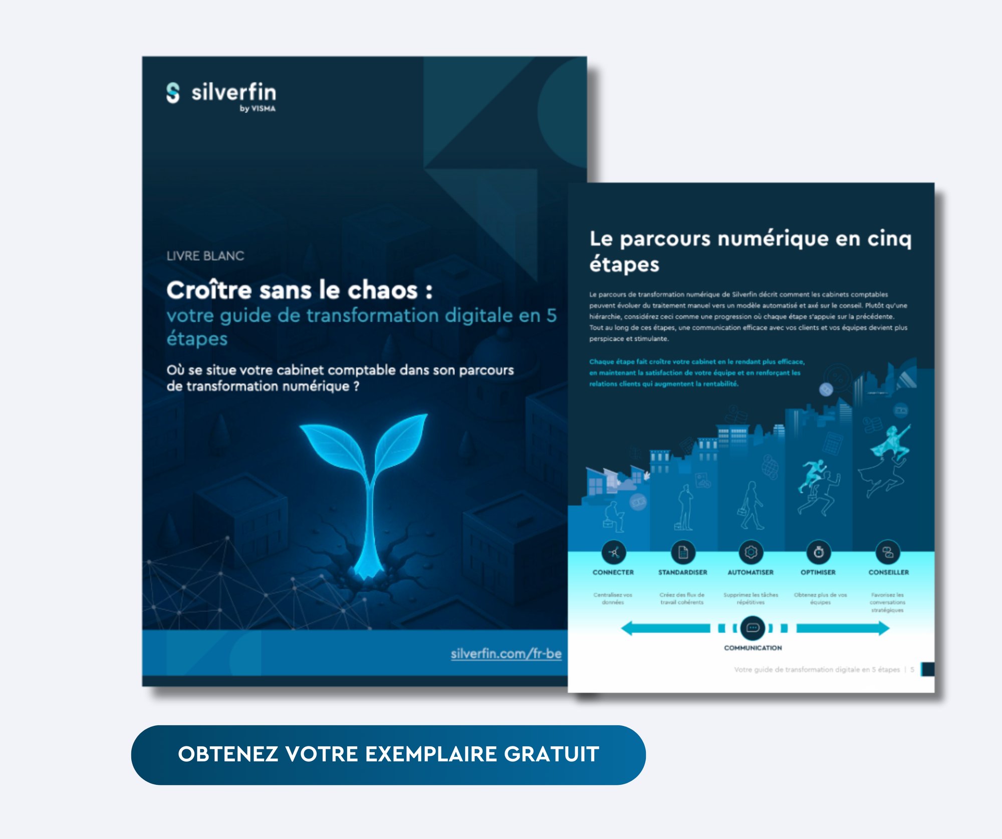 BEFR - Grow without the chaos graphic