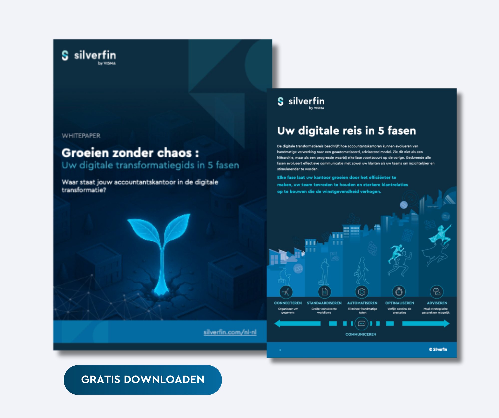 NLNL - Grow without the chaos graphic